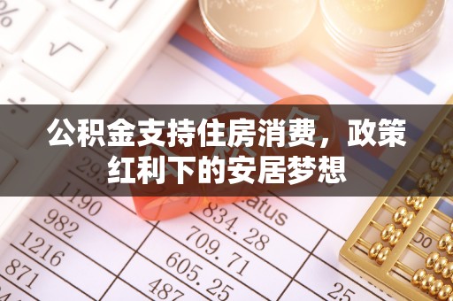 修文公积金支持住房消费，政策红利下的安居梦想