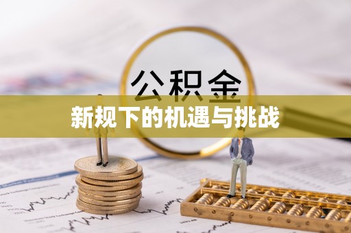 修文新规下的机遇与挑战