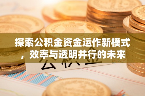 修文探索公积金资金运作新模式，效率与透明并行的未来
