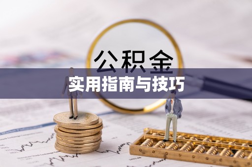修文实用指南与技巧