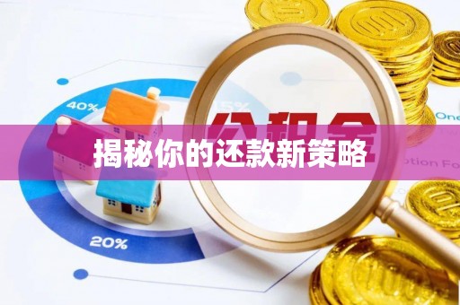修文揭秘你的还款新策略