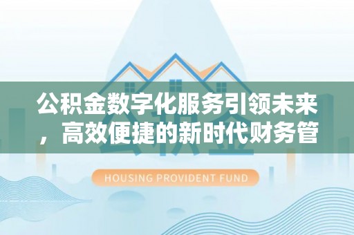 修文公积金数字化服务引领未来，高效便捷的新时代财务管理