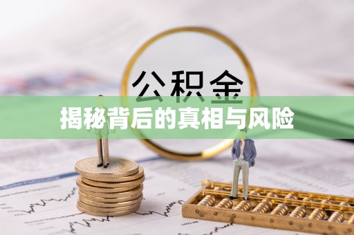 修文揭秘背后的真相与风险