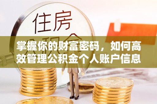 修文掌握你的财富密码，如何高效管理公积金个人账户信息