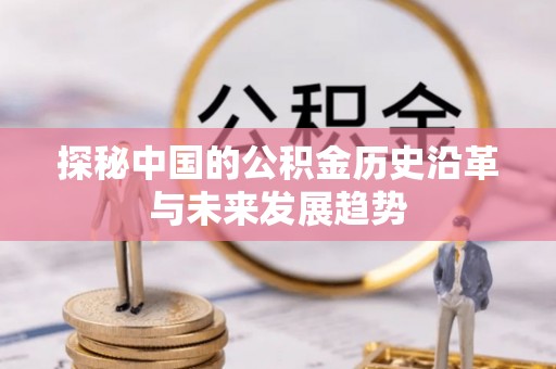 修文探秘中国的公积金历史沿革与未来发展趋势