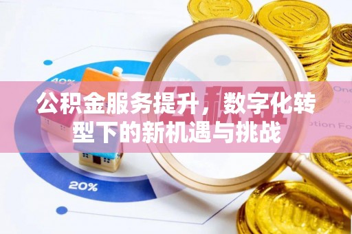 修文公积金服务提升，数字化转型下的新机遇与挑战