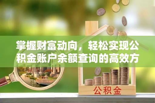修文掌握财富动向，轻松实现公积金账户余额查询的高效方式