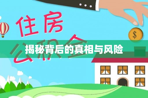 修文揭秘背后的真相与风险