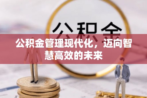 修文公积金管理现代化，迈向智慧高效的未来