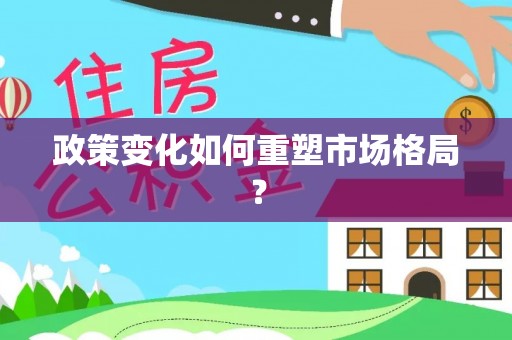 修文政策变化如何重塑市场格局？