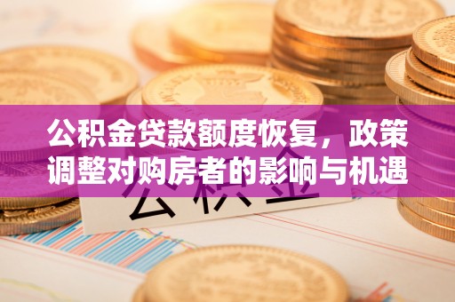 修文公积金贷款额度恢复，政策调整对购房者的影响与机遇