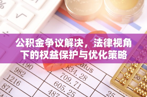 修文公积金争议解决，法律视角下的权益保护与优化策略
