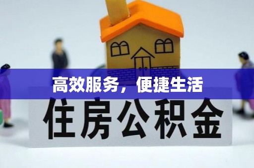 修文高效服务，便捷生活