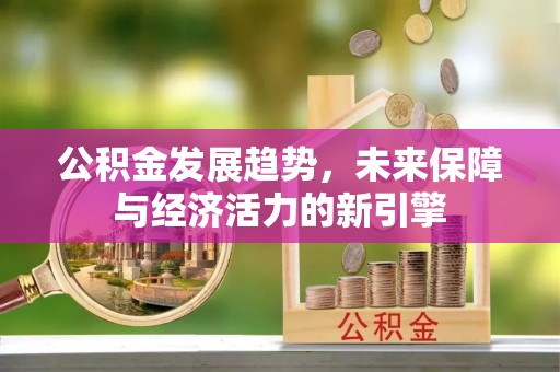 修文公积金发展趋势，未来保障与经济活力的新引擎
