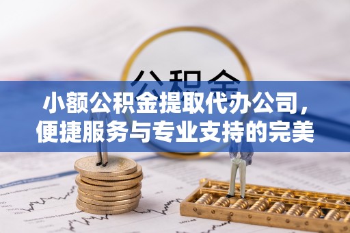 修文小额公积金提取代办公司，便捷服务与专业支持的完美结合