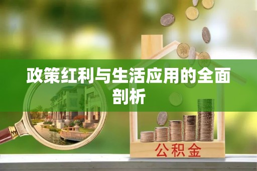 修文政策红利与生活应用的全面剖析