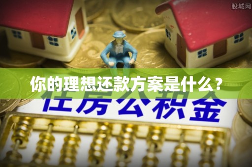 修文你的理想还款方案是什么？