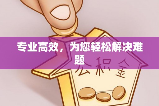 修文专业高效，为您轻松解决难题