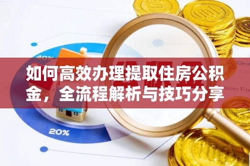 修文如何高效办理提取住房公积金，全流程解析与技巧分享