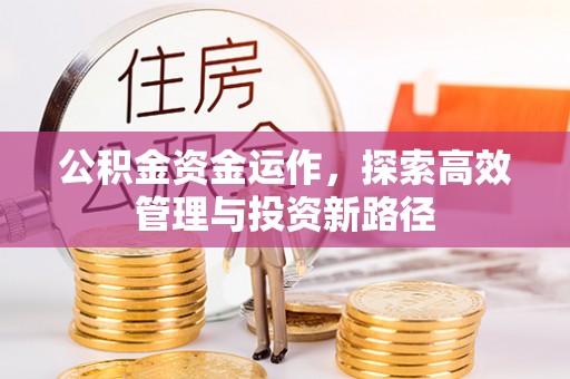 修文公积金资金运作，探索高效管理与投资新路径