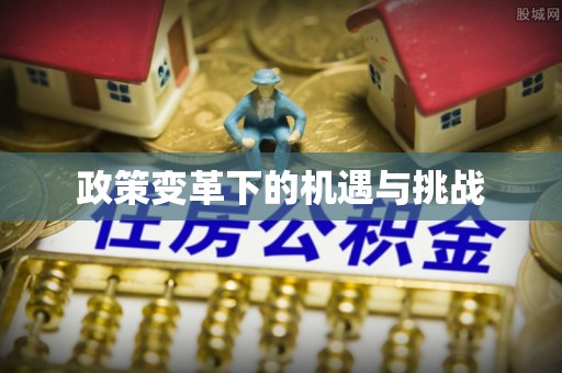 修文政策变革下的机遇与挑战