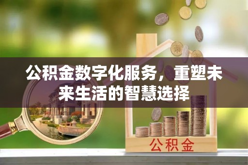 修文公积金数字化服务，重塑未来生活的智慧选择