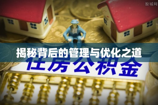 修文揭秘背后的管理与优化之道