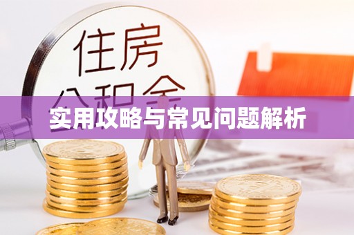 修文实用攻略与常见问题解析