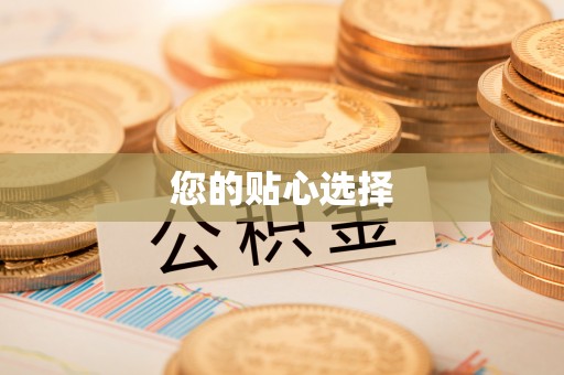 修文您的贴心选择