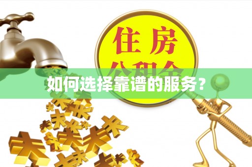 修文如何选择靠谱的服务？