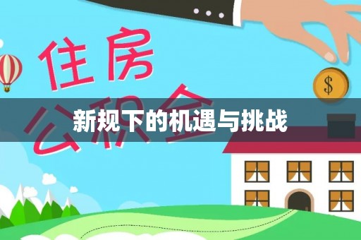 修文新规下的机遇与挑战