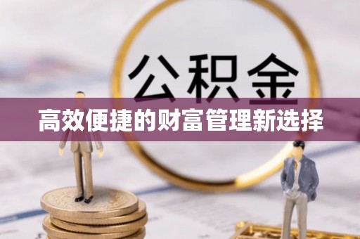 修文高效便捷的财富管理新选择
