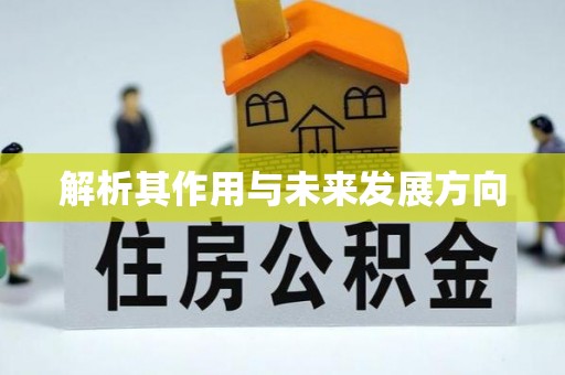 修文解析其作用与未来发展方向