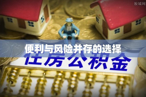 修文便利与风险并存的选择
