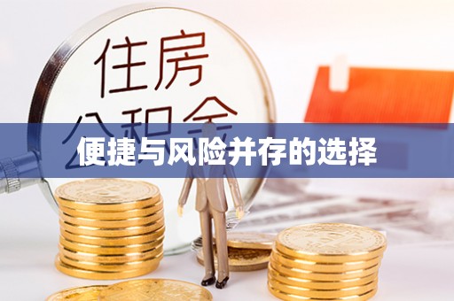 修文便捷与风险并存的选择