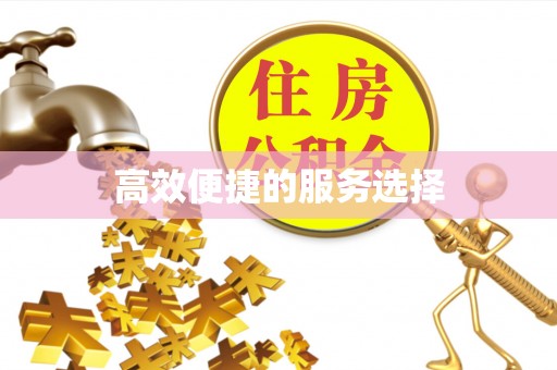 修文高效便捷的服务选择