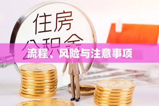 修文流程、风险与注意事项