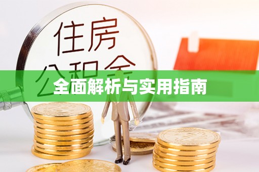 修文全面解析与实用指南