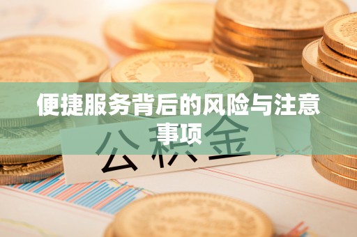 修文便捷服务背后的风险与注意事项